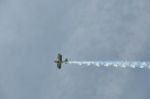 Filename=DSC_7723.JPG
Filesize=49KB
Dimensions=858x570
Date added=Aug 09, 2009 DSC_7723.JPG