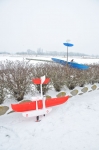 Filename=DSC_5340.JPG
Filesize=111KB
Dimensions=569x857
Date added=Jan 19, 2013 DSC_5340.JPG