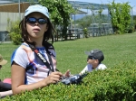 Filename=_DSC4443.JPG
Filesize=329KB
Dimensions=800x600
Date added=Jul 28, 2017 _DSC4443.JPG