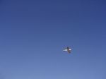 Filename=3_2.jpeg
Filesize=6KB
Dimensions=567x425
Date added=May 25, 2008 3_2.jpeg