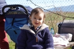 Filename=DSC06740.jpg
Filesize=1103KB
Dimensions=2304x1536
Date added=Feb 25, 2020 DSC06740.jpg